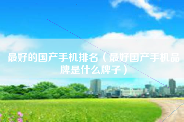 最好的国产手机排名（最好国产手机品牌是什么牌子）