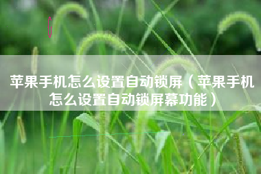 苹果手机怎么设置自动锁屏（苹果手机怎么设置自动锁屏幕功能）