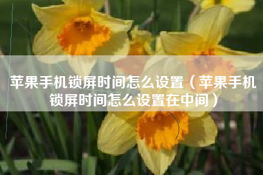 苹果手机锁屏时间怎么设置（苹果手机锁屏时间怎么设置在中间）