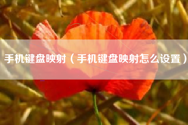 手机键盘映射（手机键盘映射怎么设置）