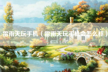 雷雨天玩手机（雷雨天玩手机会怎么样）