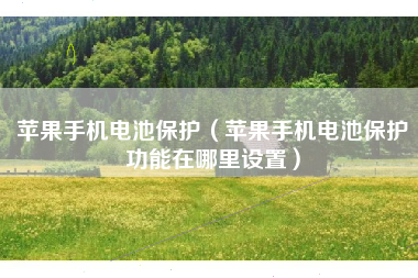 苹果手机电池保护（苹果手机电池保护功能在哪里设置）