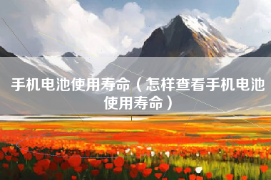 手机电池使用寿命（怎样查看手机电池使用寿命）