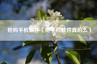 抢购手机软件（抢手机软件真的么）