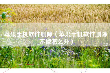 苹果手机软件删除（苹果手机软件删除不掉怎么办）