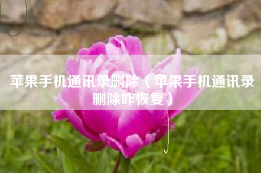 苹果手机通讯录删除（苹果手机通讯录删除咋恢复）