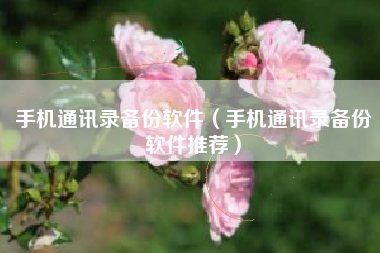 手机通讯录备份软件（手机通讯录备份软件推荐）