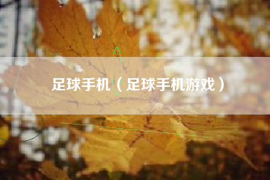 足球手机（足球手机游戏）
