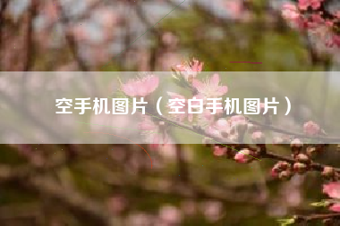 空手机图片（空白手机图片）