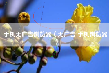 手机无广告浏览器（无广告 手机浏览器）