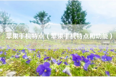苹果手机特点（苹果手机特点和功能）
