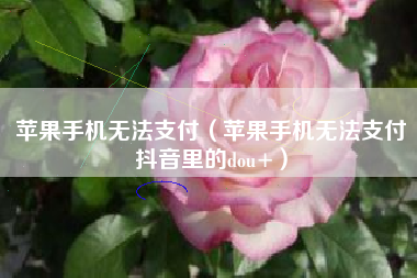 苹果手机无法支付（苹果手机无法支付抖音里的dou+）