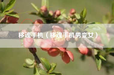 移魂手机（移魂手机男变女）