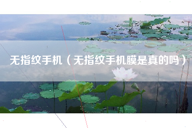 无指纹手机（无指纹手机膜是真的吗）