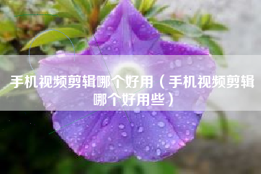 手机视频剪辑哪个好用（手机视频剪辑哪个好用些）