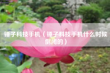 锤子科技手机（锤子科技手机什么时候倒闭的）