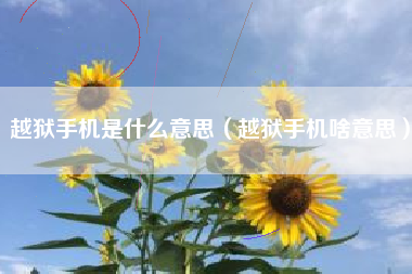 越狱手机是什么意思（越狱手机啥意思）