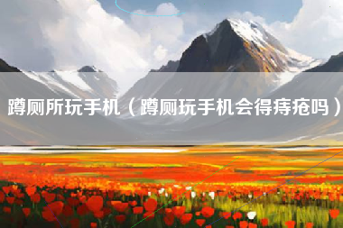 蹲厕所玩手机（蹲厕玩手机会得痔疮吗）