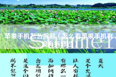 苹果手机怎么拆卸（怎么看苹果手机有没有拆修过）