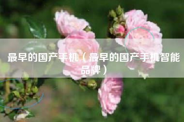 最早的国产手机（最早的国产手机智能品牌）