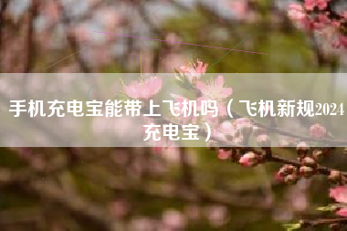 手机充电宝能带上飞机吗（飞机新规2024充电宝）