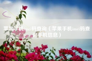 苹果手机imei码查询（苹果手机imei码查询手机信息）