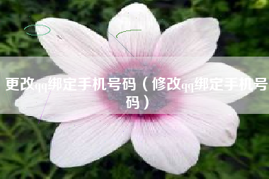 更改qq绑定手机号码（修改qq绑定手机号码）
