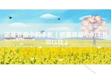 诺基亚最小的手机（诺基亚最小的手机可以挂）