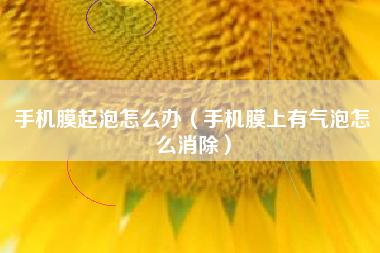 手机膜起泡怎么办（手机膜上有气泡怎么消除）