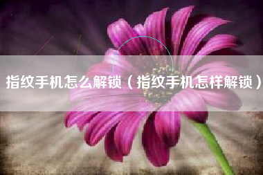 指纹手机怎么解锁（指纹手机怎样解锁）