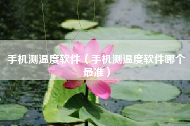 手机测温度软件（手机测温度软件哪个最准）