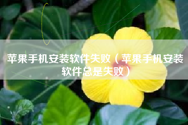 苹果手机安装软件失败（苹果手机安装软件总是失败）