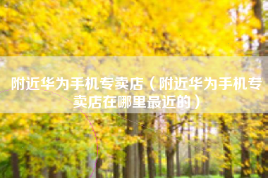 附近华为手机专卖店（附近华为手机专卖店在哪里最近的）