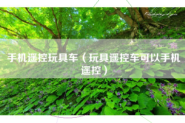 手机遥控玩具车（玩具遥控车可以手机遥控）