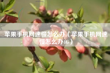 苹果手机网速慢怎么办（苹果手机网速慢怎么办4G）