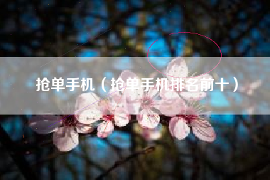 抢单手机（抢单手机排名前十）