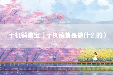 手机销售宝（手机销售是做什么的）
