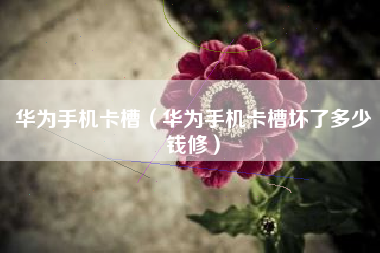 华为手机卡槽（华为手机卡槽坏了多少钱修）