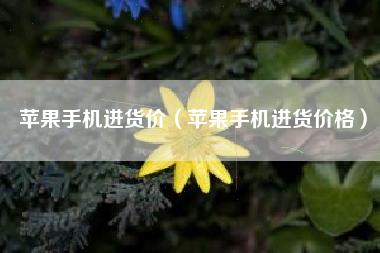苹果手机进货价（苹果手机进货价格）