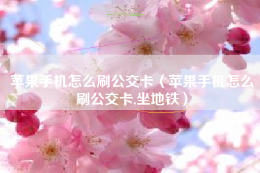 苹果手机怎么刷公交卡（苹果手机怎么刷公交卡,坐地铁）