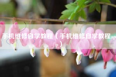 手机维修自学教程（手机维修自学教程app）