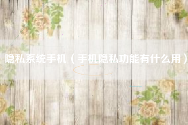 隐私系统手机（手机隐私功能有什么用）