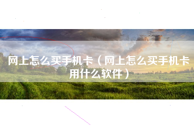 网上怎么买手机卡（网上怎么买手机卡用什么软件）