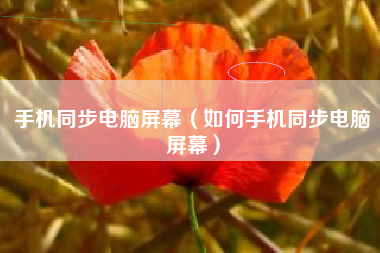 手机同步电脑屏幕（如何手机同步电脑屏幕）