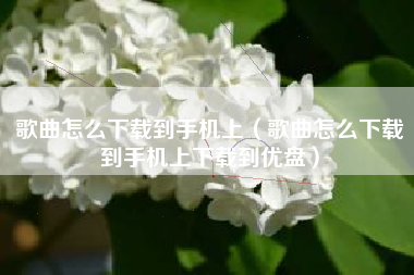 歌曲怎么下载到手机上（歌曲怎么下载到手机上下载到优盘）