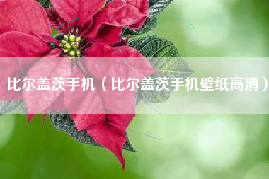 比尔盖茨手机（比尔盖茨手机壁纸高清）