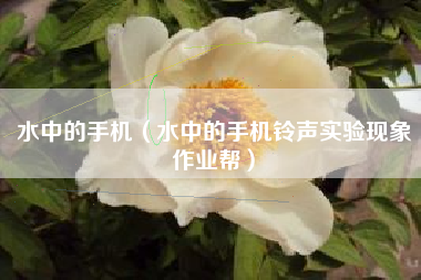 水中的手机（水中的手机铃声实验现象作业帮）