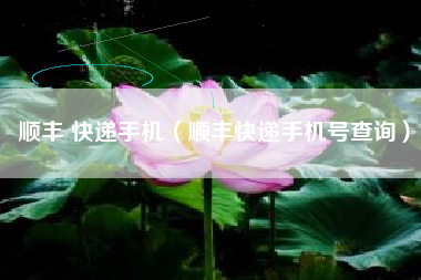 顺丰 快递手机（顺丰快递手机号查询）