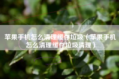 苹果手机怎么清理缓存垃圾（苹果手机怎么清理缓存垃圾清理）