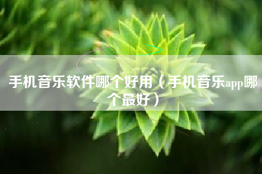 手机音乐软件哪个好用（手机音乐app哪个最好）